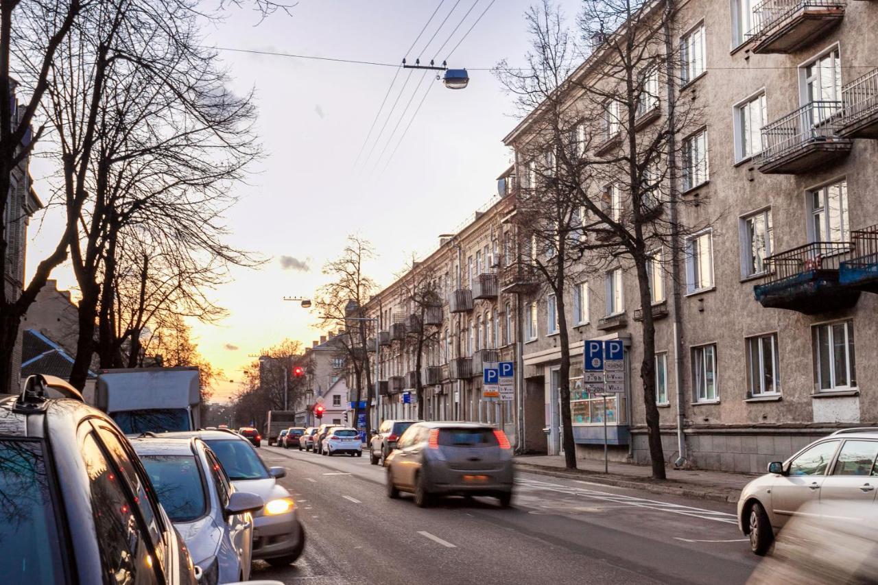 Cozy Naugarduko Apartments Close To Vilnius Old Town Buitenkant foto